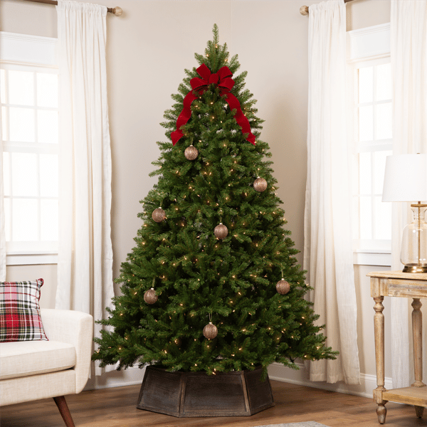 Northlight 6.5ft. Pre-Lit Full Northern Pine Christmas Tree