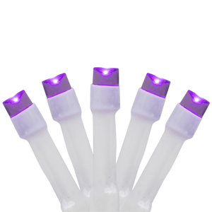 Northlight 10ft. 20ct. LED Wide Angle Halloween Lights