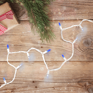 Northlight 100ct. LED Mini Christmas Lights