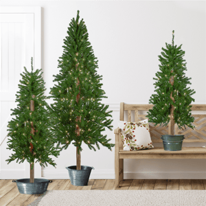 Northlight 4-6ft. Pre-Lit Slim Alpine Christmas Trees - Set of 3
