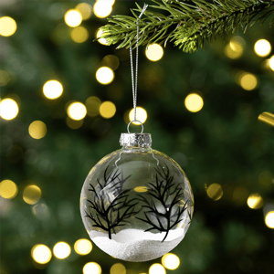 Northlight 4ct. Winter Forest Christmas Glass Ball Ornaments