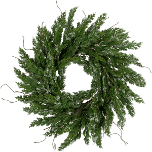 Northlight Real Touch(tm) 24in. Iced Cedar Christmas Wreath