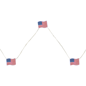 Northlight 20ct. Patriotic Americana USA Flag LED Fairy Lights