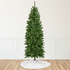 Northlight 12ft. Pencil White River Fir Christmas Tree