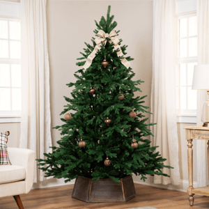 Northlight Real Touch(tm) 7ft. Full Alamosa Fir Christmas Tree