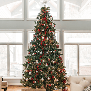 Northlight 12ft. Full Colorado Spruce Artificial Christmas Tree