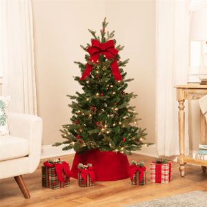 Northlight Real Touch(tm) 4.5ft. Pre-Lit Noble Spruce Christmas Tree