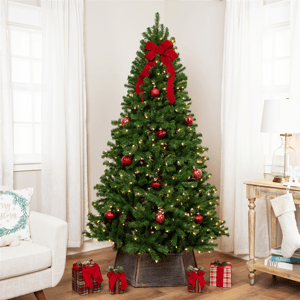 Northlight 7ft. Pre-Lit Full Pendleton Spruce Christmas Tree