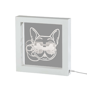 Simplee Adesso Cool Dog Video Light Box
