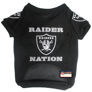 NFL Las Vegas Raiders Raglan Pet Jersey