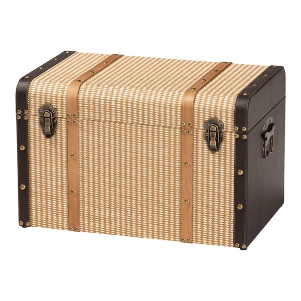 Baxton Studio Manton Woven Exterior Storage Trunk