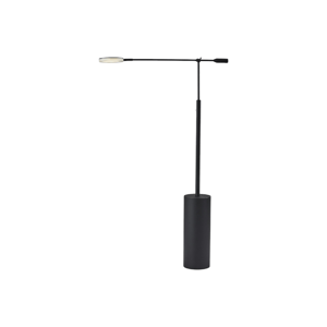 HomeRoots 64in. LED Light Black Swing Arm Floor Lamp