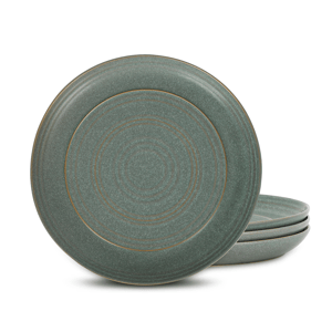 Stone Lain Elio 4pc. Stoneware Dinner Plate Set