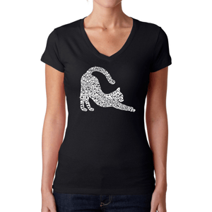 Plus Size LA Pop Art Stretching Cat Word Art V-Neck Tee